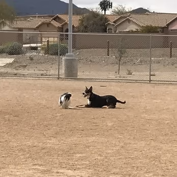 Dog Park at Crossroads at Silverbell District Park